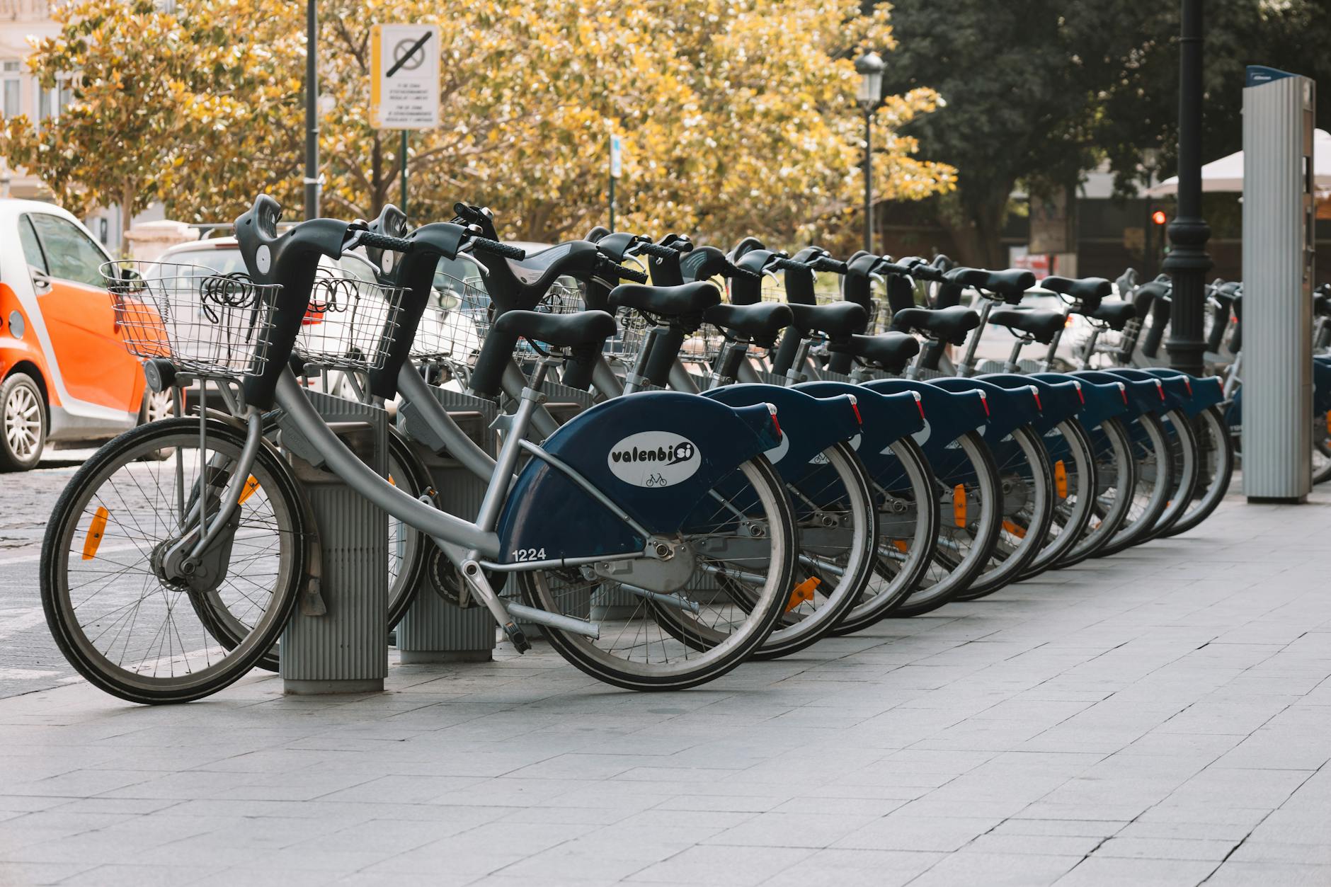 sustainable transportation